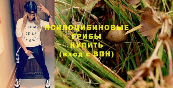 a pvp Карпинск