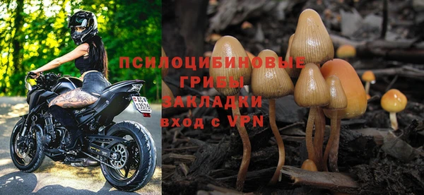 спиды Касимов