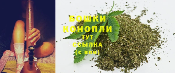 спиды Касимов
