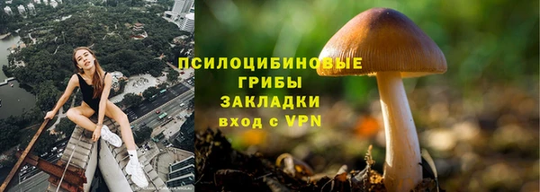стаф Карталы