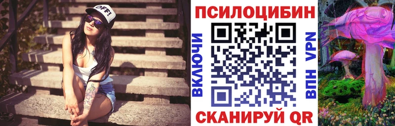 Галлюциногенные грибы Psilocybe  Купить  Кашин 